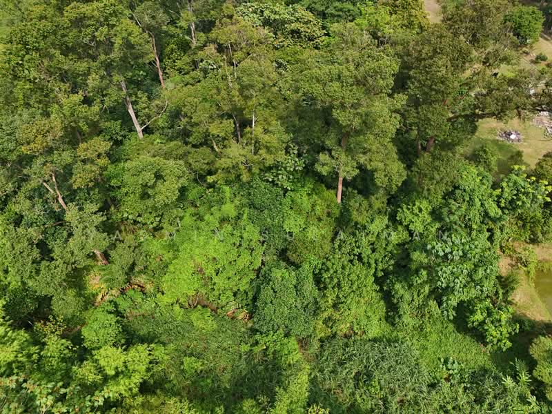 Tanah Pertanian untuk Dijual di Pekan Hulu Langat (Hulu Langat) - Yasmin Sulaiman - PropertyGuru.com.my