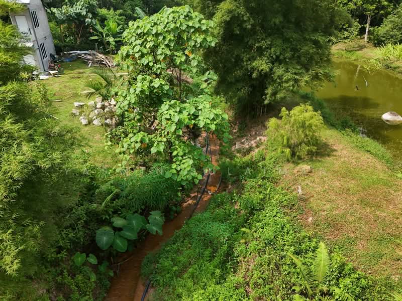 Tanah Pertanian untuk Dijual di Pekan Hulu Langat (Hulu Langat) - Yasmin Sulaiman - Exterior - PropertyGuru.com.my