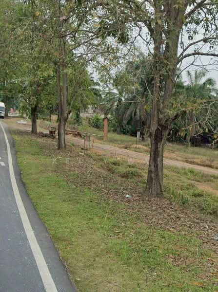 Agricultural Land for Sale in Kluang (Johor) - Kelly Wai - Exterior - PropertyGuru.com.my