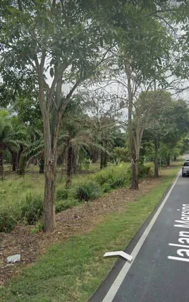 Agricultural Land for Sale in Kluang (Johor) - Kelly Wai - Exterior - PropertyGuru.com.my