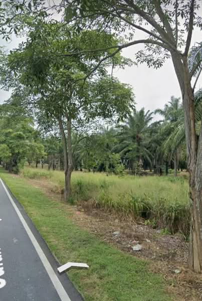 Agricultural Land for Sale in Kluang (Johor) - Kelly Wai - Exterior - PropertyGuru.com.my