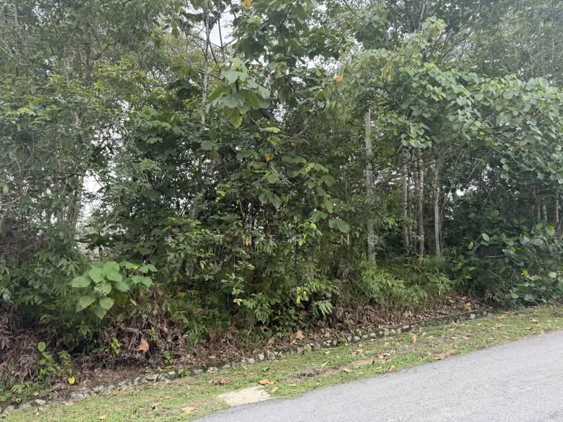 Residential Land for Sale in Saujana Utama (Selangor) - Esther Ng - PropertyGuru.com.my