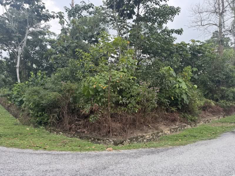 Residential Land for Sale in Saujana Utama (Selangor) - Esther Ng - PropertyGuru.com.my