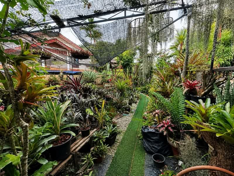 Rumah Teres 2 Tingkat untuk Dijual di Alam Damai (Cheras) - Azli Ibrahim - Garden - PropertyGuru.com.my