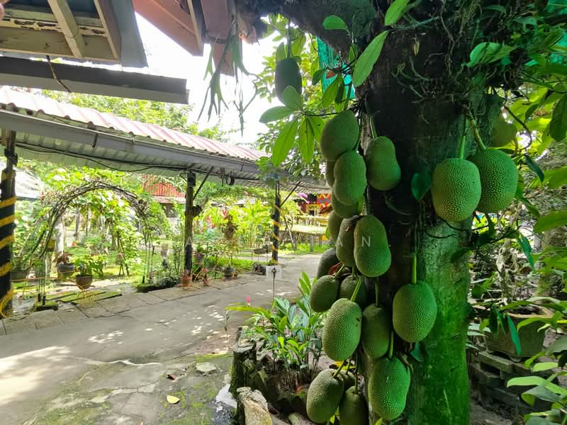 Commercial Land for Sale in Kampung Seelong Jaya (Senai) - SASER TAN. - Exterior - PropertyGuru.com.my