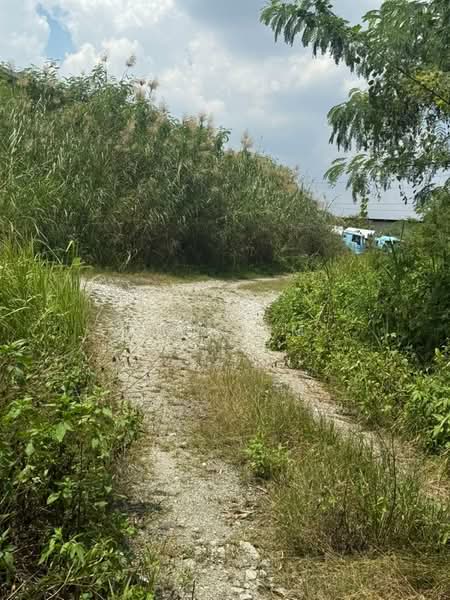 Tanah Pertanian untuk Dijual di Kampung Bukit Lanchong (Subang Jaya) - Amy Lim - Exterior - PropertyGuru.com.my