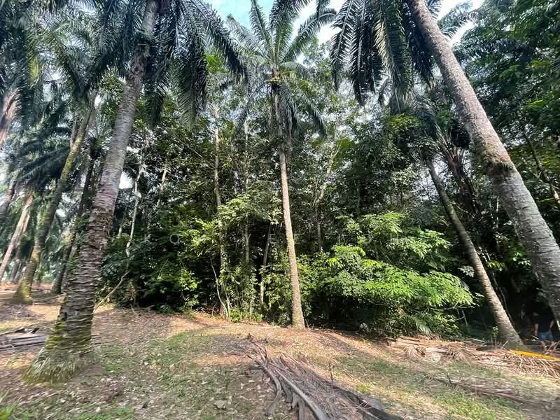 Residential Land for Sale in Dengkil (Selangor) - Kok Yee Loh - Exterior - PropertyGuru.com.my