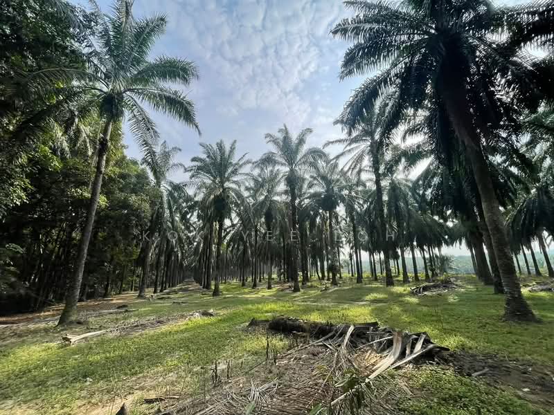 Residential Land for Sale in Dengkil (Selangor) - Kok Yee Loh - Exterior - PropertyGuru.com.my