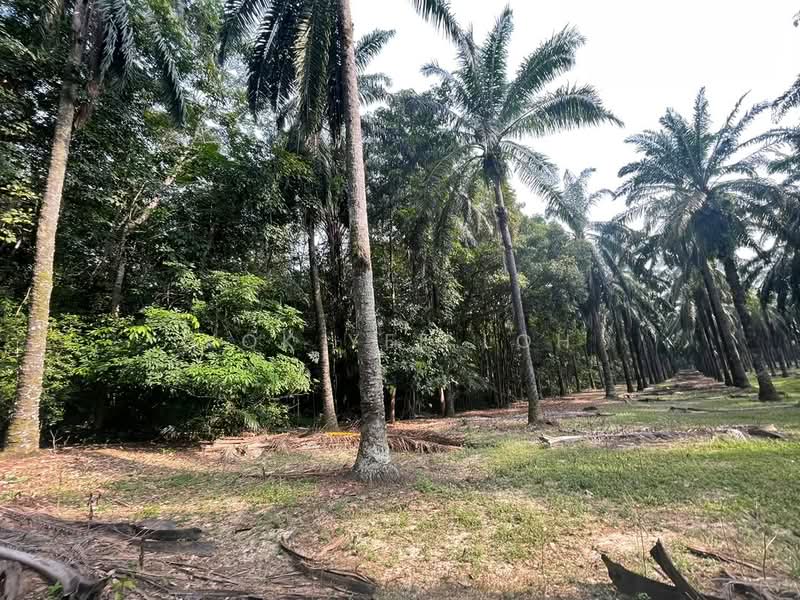 Residential Land for Sale in Dengkil (Selangor) - Kok Yee Loh - Exterior - PropertyGuru.com.my