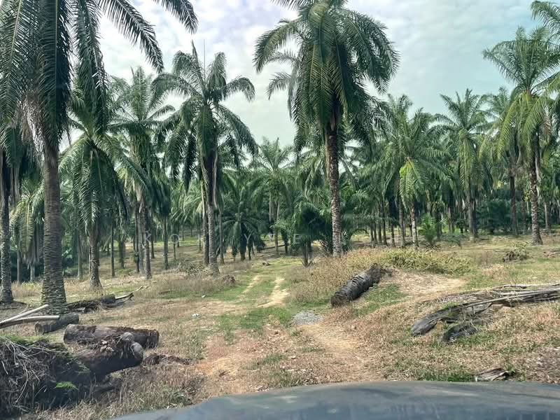 Residential Land for Sale in Dengkil (Selangor) - Kok Yee Loh - Exterior - PropertyGuru.com.my