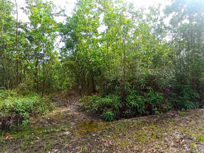 Tanah Perindustrian untuk Dijual di Rasa (Selangor) - Liza Khalid - PropertyGuru.com.my