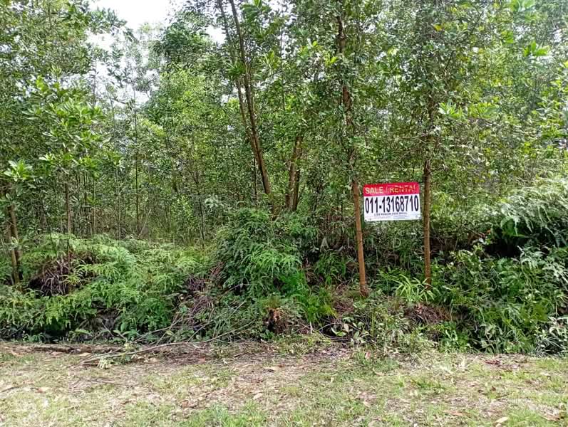 Tanah Perindustrian untuk Dijual di Rasa (Selangor) - Liza Khalid - PropertyGuru.com.my