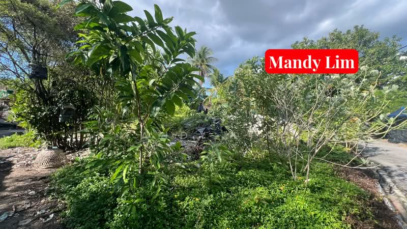 Tanah Kediaman untuk Dijual di Bandar Baru Air Itam (Ayer Itam) - Mandy Lim - PropertyGuru.com.my