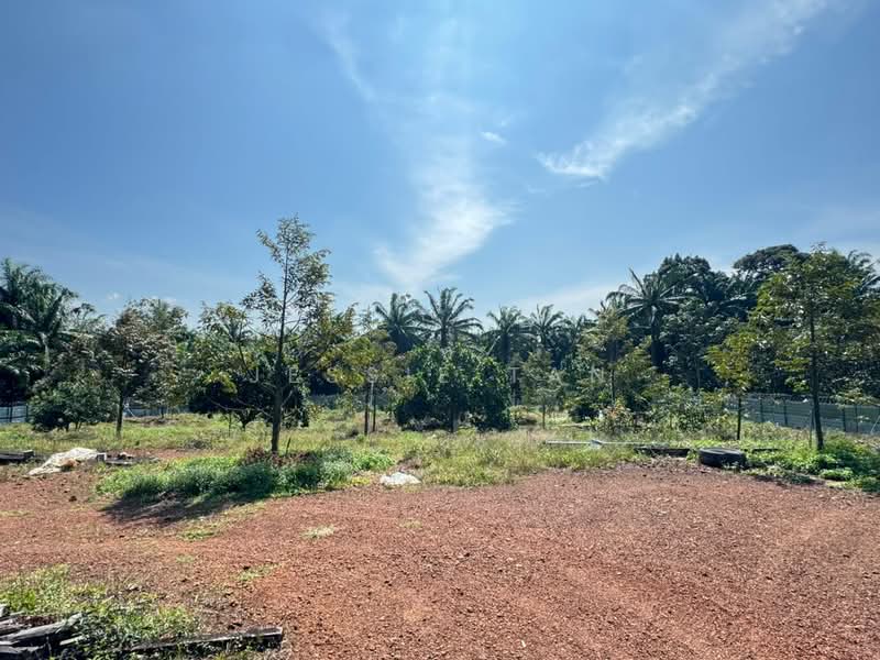 Tanah Pertanian untuk Dijual di Tmn Perindustrian Pekan Nenas 1 (Pekan Nanas) - Jessie Tan - Exterior - PropertyGuru.com.my