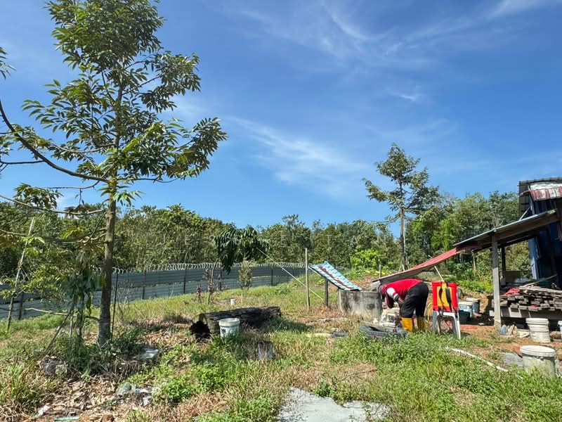 Tanah Pertanian untuk Dijual di Tmn Perindustrian Pekan Nenas 1 (Pekan Nanas) - Jessie Tan - Exterior - PropertyGuru.com.my