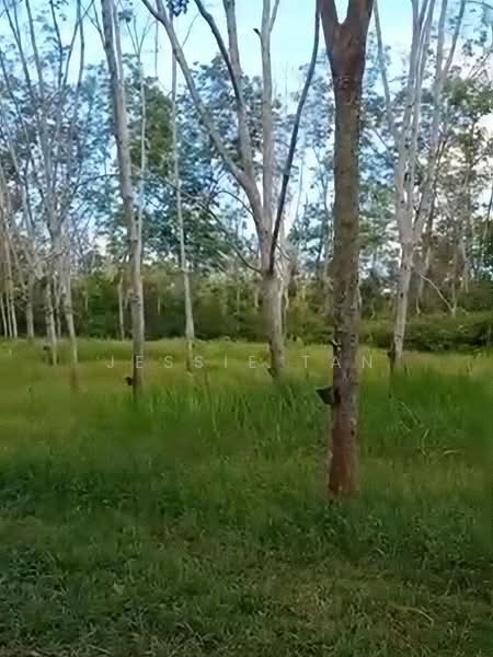 Tanah Pertanian untuk Dijual di Segamat (Johor) - Jessie Tan - Exterior - PropertyGuru.com.my