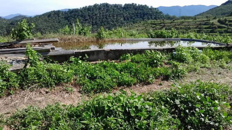 Agricultural Land for Sale in Rembau (Negeri Sembilan) - Rashdan Rashid - PropertyGuru.com.my