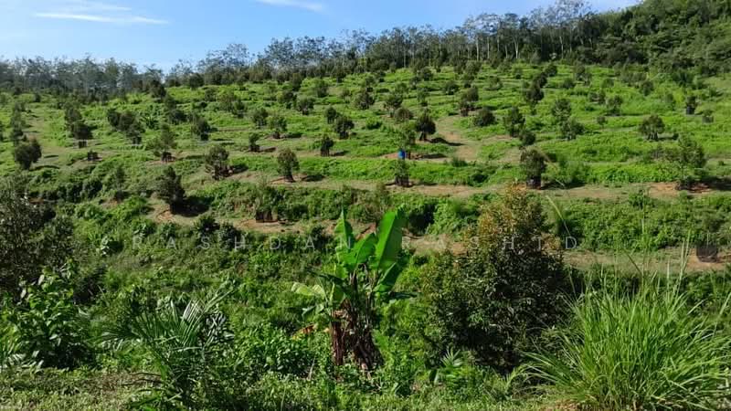 Agricultural Land for Sale in Rembau (Negeri Sembilan) - Rashdan Rashid - PropertyGuru.com.my