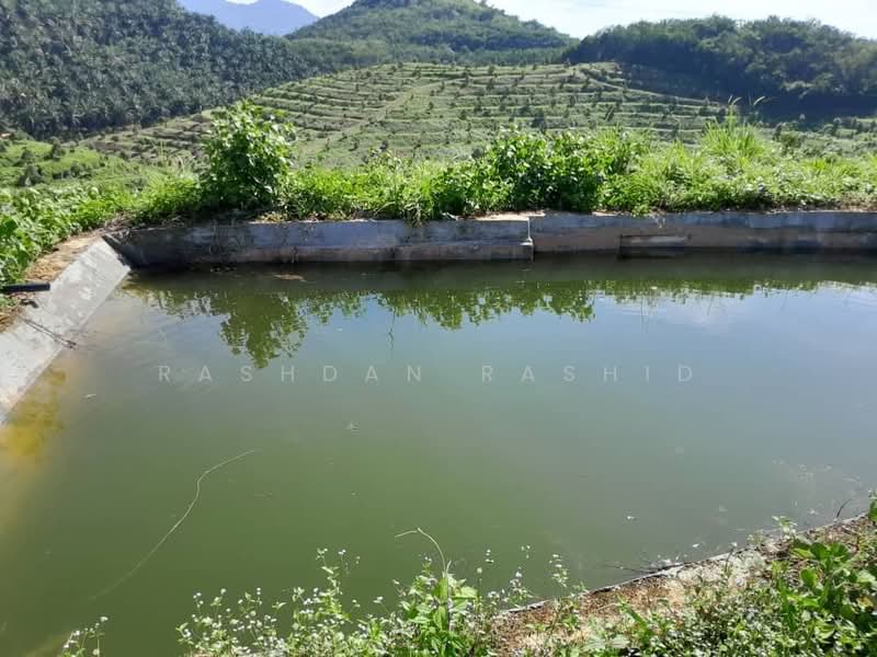 Agricultural Land for Sale in Rembau (Negeri Sembilan) - Rashdan Rashid - PropertyGuru.com.my