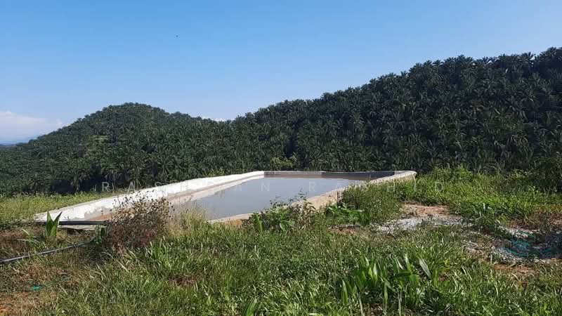 Agricultural Land for Sale in Rembau (Negeri Sembilan) - Rashdan Rashid - PropertyGuru.com.my