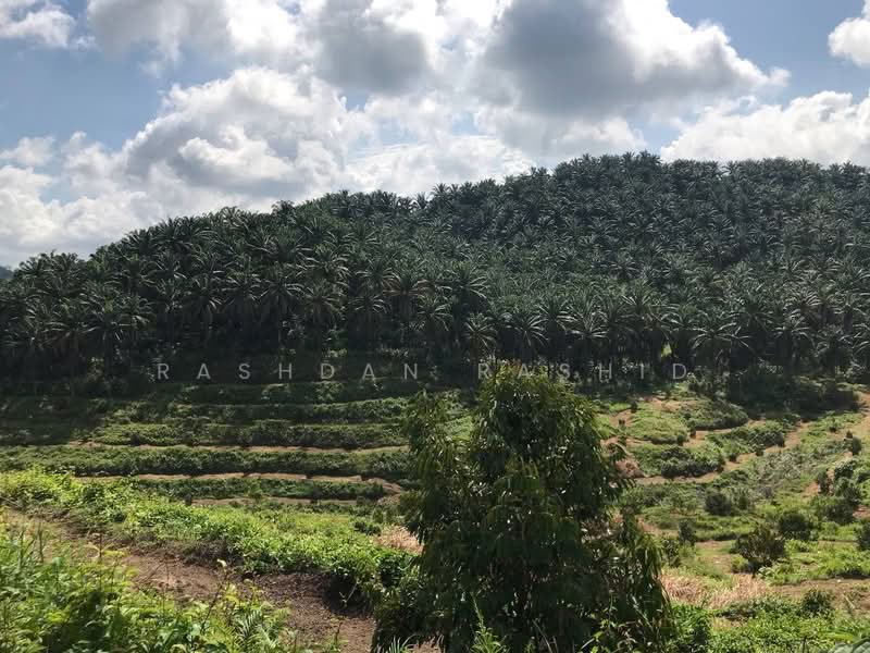 Agricultural Land for Sale in Rembau (Negeri Sembilan) - Rashdan Rashid - PropertyGuru.com.my
