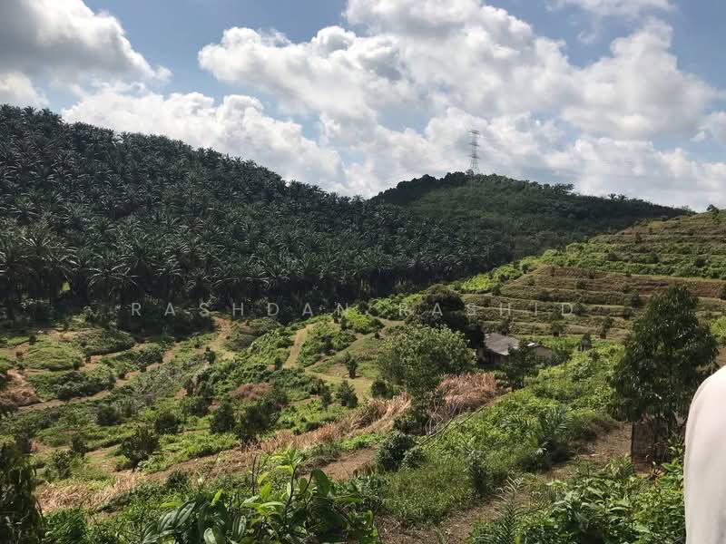 Agricultural Land for Sale in Rembau (Negeri Sembilan) - Rashdan Rashid - PropertyGuru.com.my