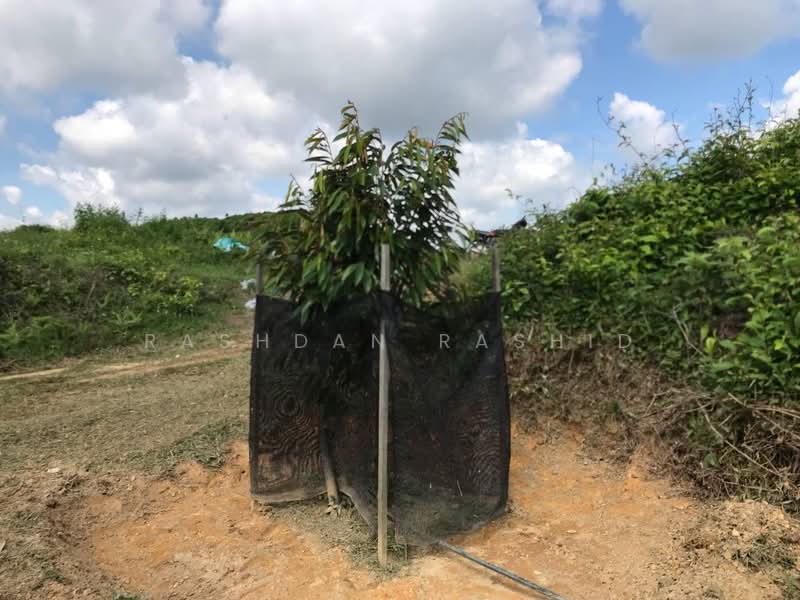 Agricultural Land for Sale in Rembau (Negeri Sembilan) - Rashdan Rashid - PropertyGuru.com.my