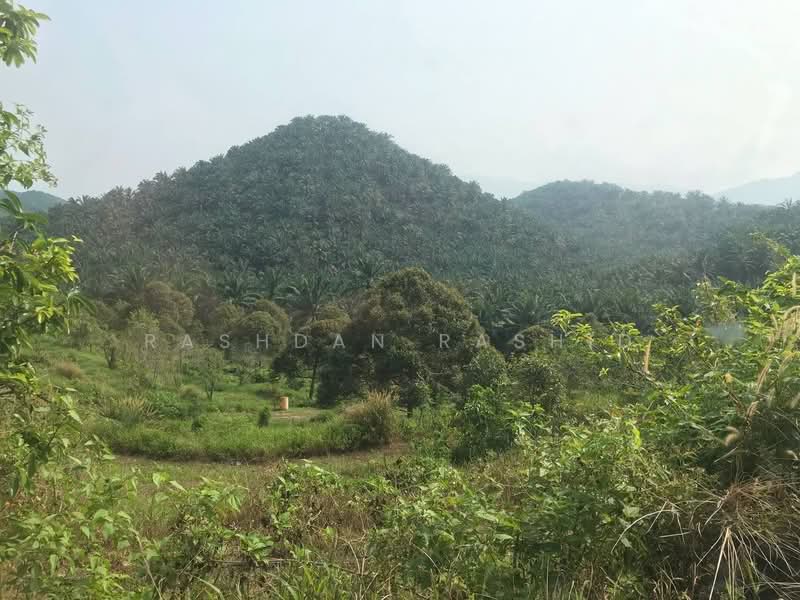 Agricultural Land for Sale in Rembau (Negeri Sembilan) - Rashdan Rashid - PropertyGuru.com.my