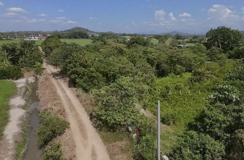 Agricultural Land for Sale in Seberang Perai (Penang) - Effendy Shohaili - Exterior - PropertyGuru.com.my