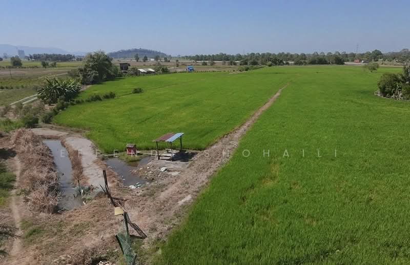 Agricultural Land for Sale in Seberang Perai (Penang) - Effendy Shohaili - Exterior - PropertyGuru.com.my