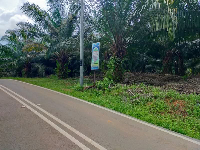 Tanah Pertanian untuk Dijual di Port Dickson (Negeri Sembilan) - CH LEE - Exterior - PropertyGuru.com.my
