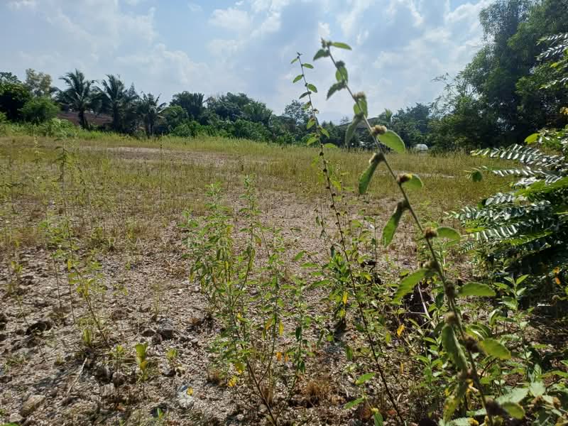 Tanah Banglo untuk Dijual di Taman Rinching Indah (Beranang) - Raymond Chuah - PropertyGuru.com.my