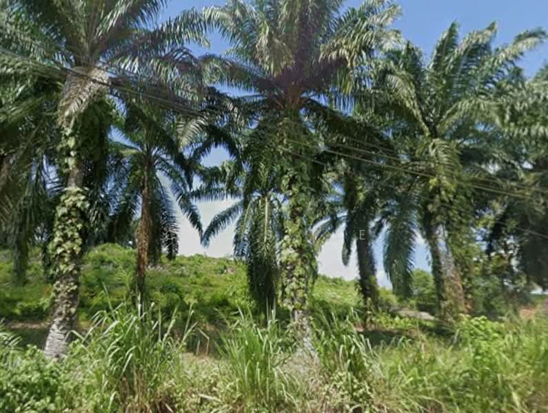 Agricultural Land for Sale in Hulu Semenyih (Selangor) - Chris Tye - Exterior - PropertyGuru.com.my