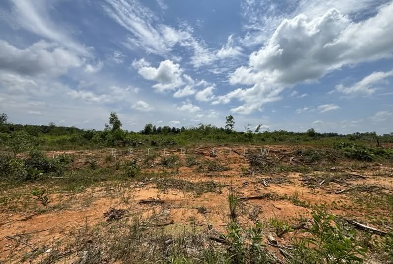 Industrial Land for Rent in Kampung Sungai Buloh (Sungai Buloh) - Peter Liew - Exterior - PropertyGuru.com.my