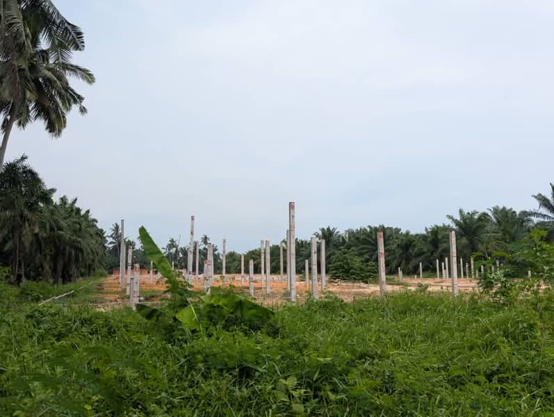 Rumah Berkembar untuk Dijual di Kapar (Selangor) - Muin Mn - Exterior - PropertyGuru.com.my