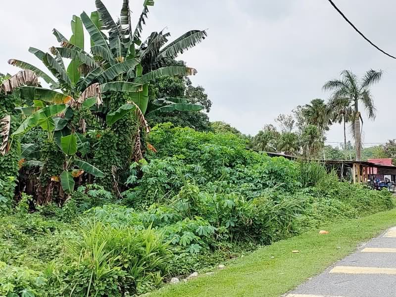 Hartanah Yang Lain untuk Disewa di Kota Tinggi (Johor) - Christine Cham - Garden - PropertyGuru.com.my