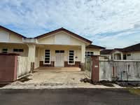 For Sale - Durian Guling, Marang