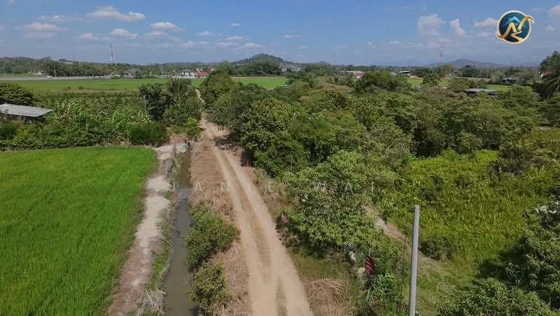 Agricultural Land for Sale in Bukit Mertajam (Penang) - Janie Wai - Exterior - PropertyGuru.com.my