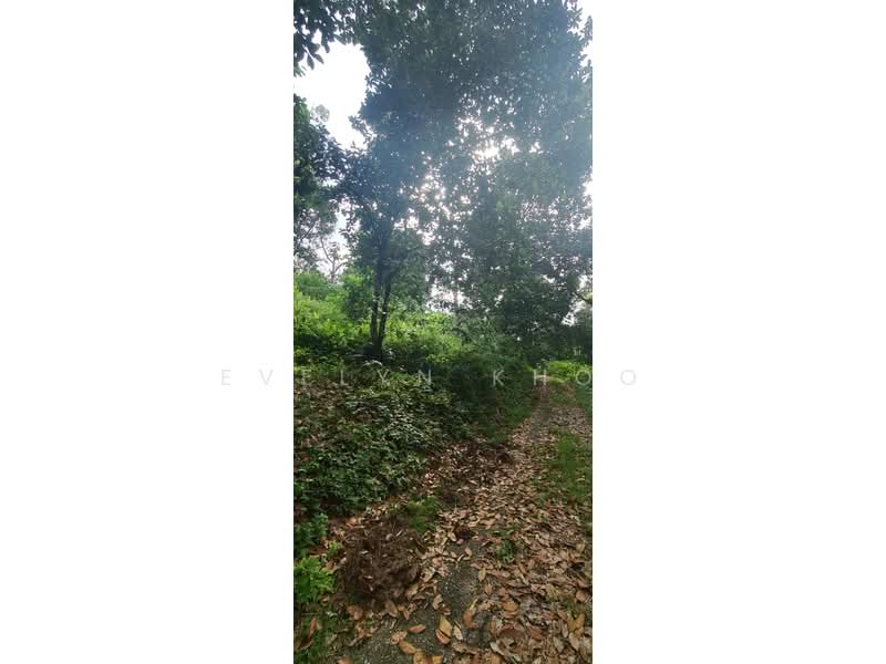 Agricultural Land for Sale in Batang Kali (Selangor) - Evelyn Khoo - Exterior - PropertyGuru.com.my