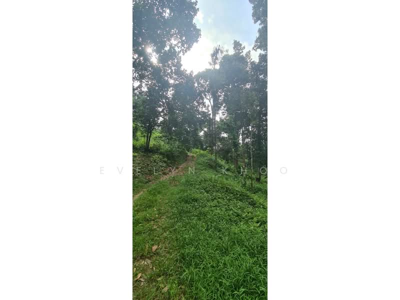 Agricultural Land for Sale in Batang Kali (Selangor) - Evelyn Khoo - Exterior - PropertyGuru.com.my