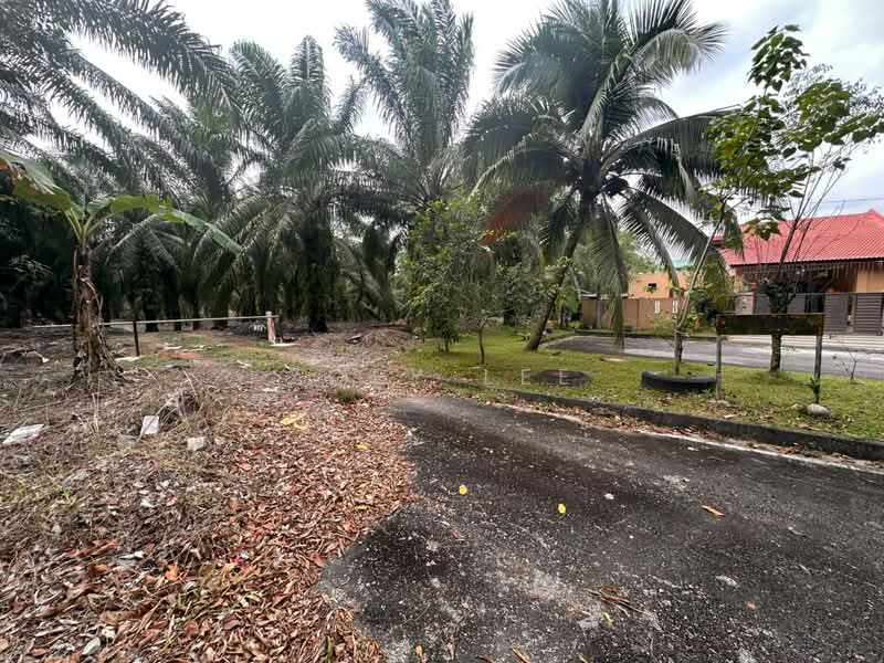 Agricultural Land for Sale in Johor Bahru (Johor) - Zoey Lee - Exterior - PropertyGuru.com.my
