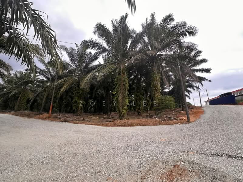 Agricultural Land for Sale in Johor Bahru (Johor) - Zoey Lee - PropertyGuru.com.my