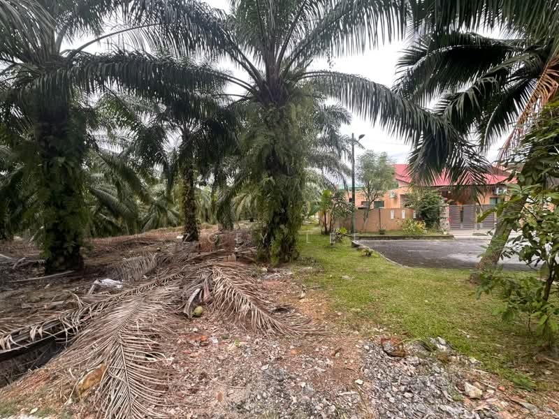 Agricultural Land for Sale in Johor Bahru (Johor) - Zoey Lee - PropertyGuru.com.my