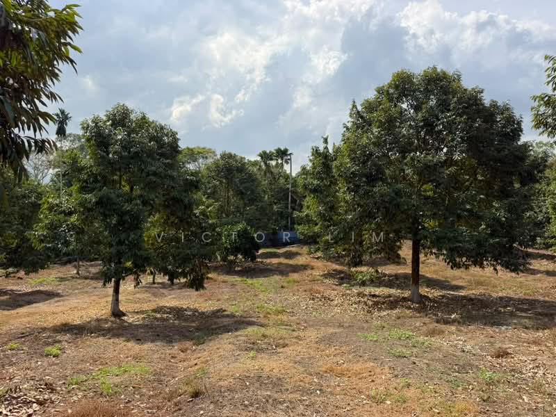 Agricultural Land for Sale in Simpang Renggam (Johor) - Victor Lim - PropertyGuru.com.my