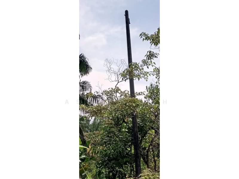 Agricultural Land for Sale in Kota Tinggi (Johor) - Ashley Goh - PropertyGuru.com.my