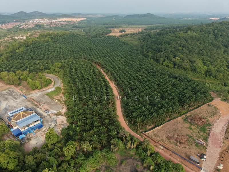 Agricultural Land for Sale in Sungai Petani (Kedah) - Bryan Teng - Exterior - PropertyGuru.com.my