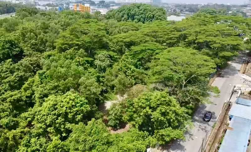 Tanah Perindustrian untuk Dijual di Tampoi (Johor) - Kinki Teow - PropertyGuru.com.my