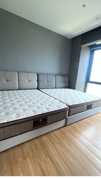 Servis Apartment untuk Disewa di City of Dreams - Andrew Ong - Bedroom - PropertyGuru.com.my