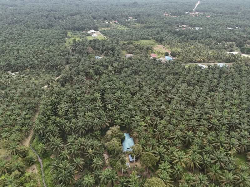 Tanah Pertanian untuk Dijual di Batu Pahat (Johor) - AIRUL NIZAM - Exterior - PropertyGuru.com.my