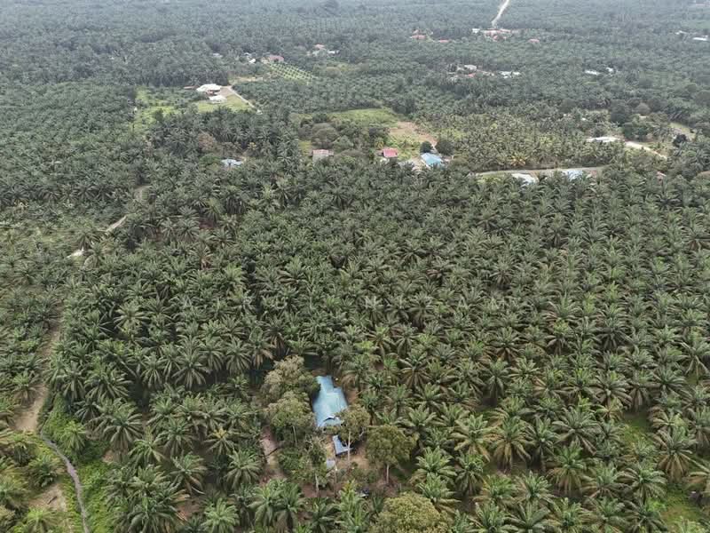 Tanah Pertanian untuk Dijual di Batu Pahat (Johor) - AIRUL NIZAM - Exterior - PropertyGuru.com.my
